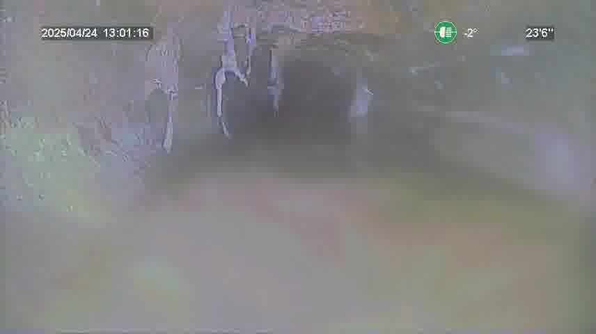 Frame
